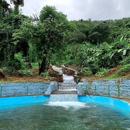 Royal Mount Inn Resorts Paithalmala エクステリア 写真