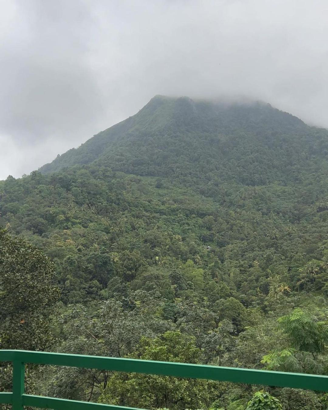 Royal Mount Inn Resorts Paithalmala エクステリア 写真
